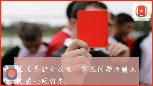 毛毛养护全攻略：常见问题与解决方案一网打尽