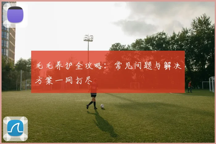毛毛养护全攻略：常见问题与解决方案一网打尽
